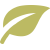 Paredes Verdes